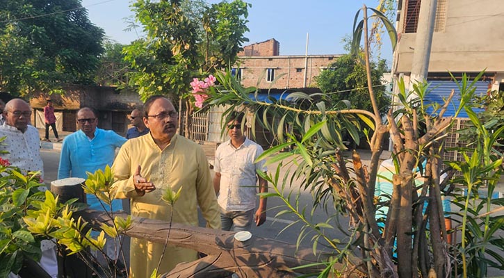 রাজশাহীতে সড়ক বিভাজকের গাছ কেটে ফেলেছে দুর্বৃত্তরা!